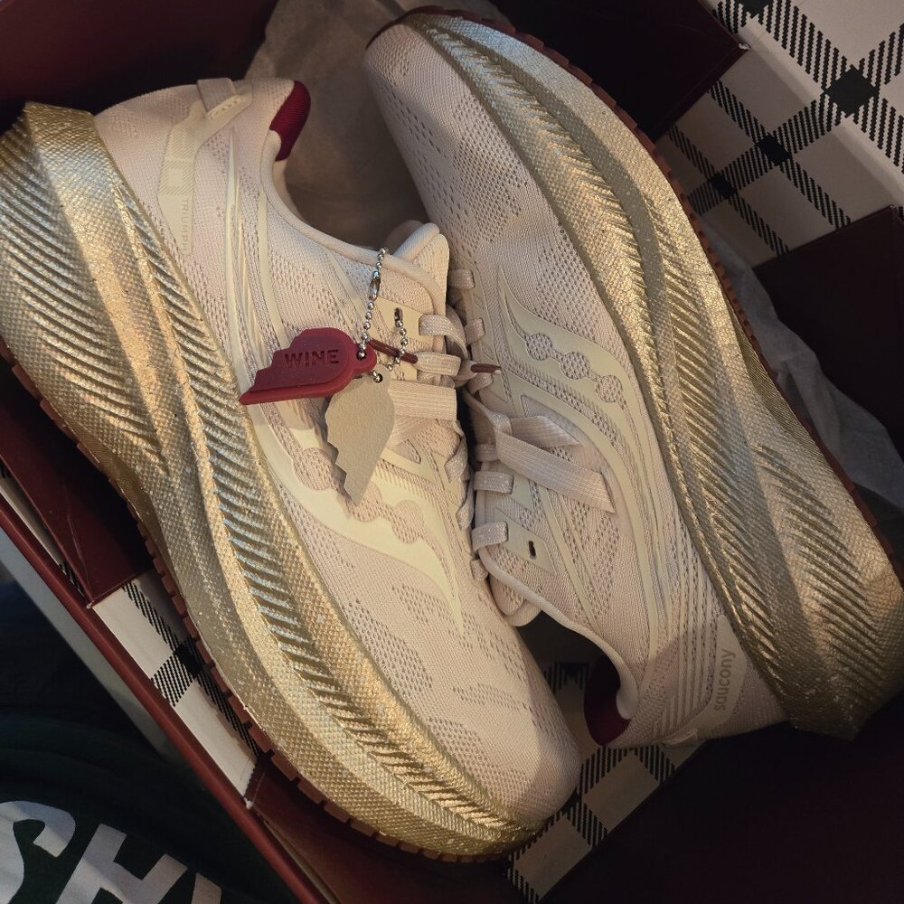 SOLD!!!!! Saucony Triumph 20 Brie/Wine women's 10